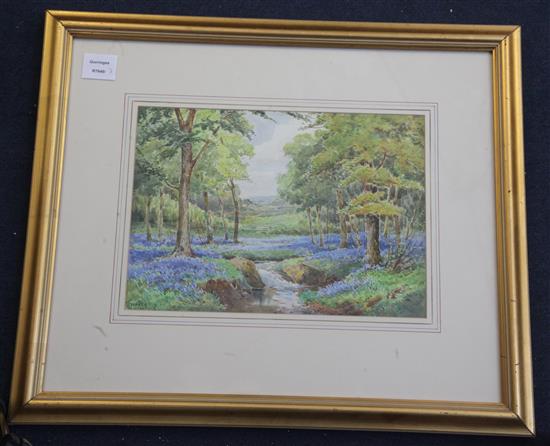 Teresa Stannard (1898-1947) The Bluebell Wood 24 x 34cm